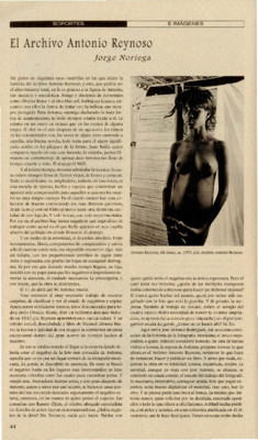 El Archivo Antonio Reynoso