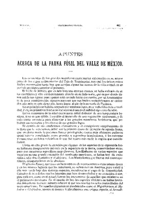 Apuntes de la fauna fósil del valle de México.