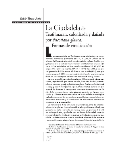 La Ciudadela de Teotihuacan, colonizada y dañada por Nicotiana glauca. Formas de erradicación