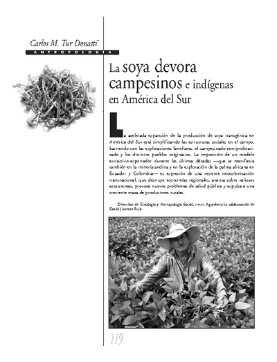 La soya devora campesinos e indígenas en América del Sur