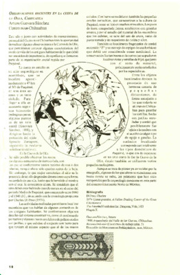 Observaciones recientes en la Cueva de la Olla, Chihuahua