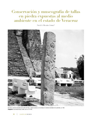 Conservación y museografía de tallas en piedra expuestas al medio ambiente en el estado de Veracruz