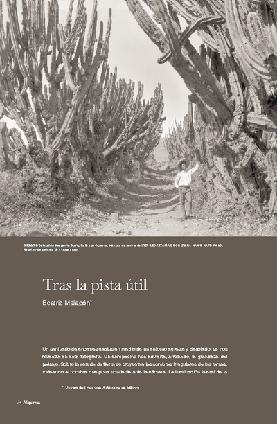 Tras la pista útil