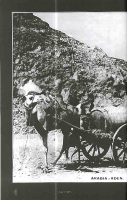 Pablo Benito Juárez García, ilustre liberal y venerable hermano masón. Conmemoración de los 200 años de su natalicio (1806-2006)