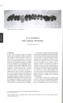 A la sombra del Árbol Pionero