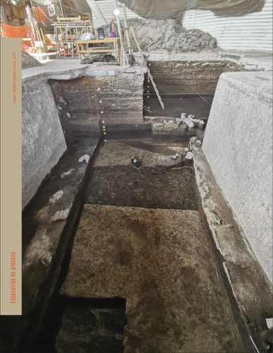 Propuesta de protocolos de seguridad para excavaciones arqueológicas en áreas urbanas: el caso del predio de Rafael Olivo #115 en Coyoacán y de la nave mayor del mercado de la Merced en el Centro Histórico de la Ciudad de México