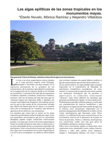 Las algas epilíticas de las zonas tropicales en los monumentos mayas