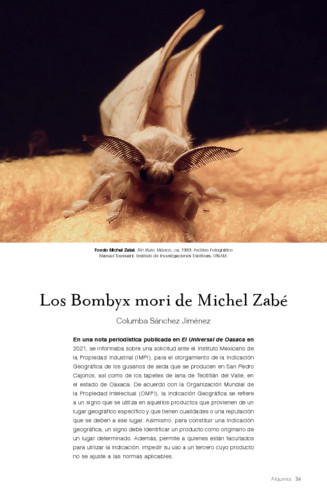 Los Bombyx mori de Michel Zabé