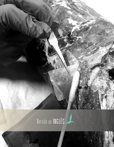 Klucel® G reagents: adaptation and application as facing in the lightweight sculpture Santiago Apóstol from Izúcar de Matamoros, Puebla