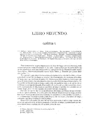 Libro Segundo. Capítulo I.- Culto del fuego