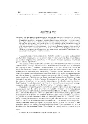 Libro Segundo. Capítulo VII.- Importancia de la sinonimia de las deidades creadoras