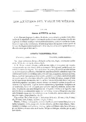 Los anátidos del valle de México.