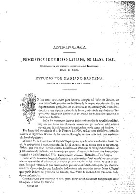 Antropología.- Descripción de un hueso labrado, de llama fósil, encontrado en los terrenos posterciarios de Tequixquiac, Estado de México.- Estudio.