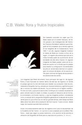 C.B. Waite: flora y frutos tropicales