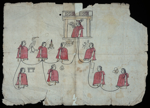 Genealogía de Cuauhtli