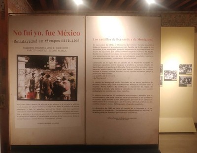  Solidaridad en tiempos difíciles. Yo no fui, fue México