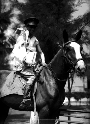 Jinete a caballo con equipo para cabalgar, retrato