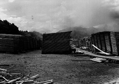 Aserradero de Bocaina, panorámica