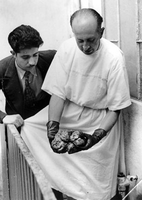 Médico muestra el 