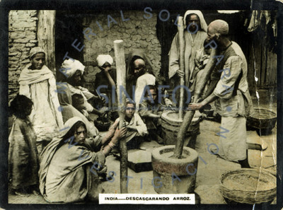India-descascarando arroz