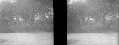Bosque de Chapultepec, vista, estereoscópica