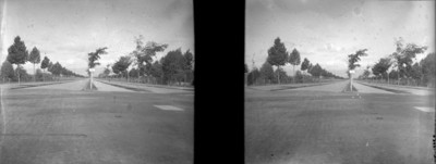 Vista de la gran calzada en Chapultepec, estereoscópica