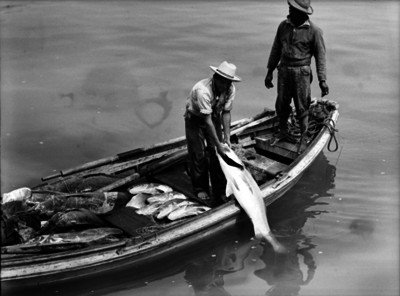 Hombre sacando un pez del agua