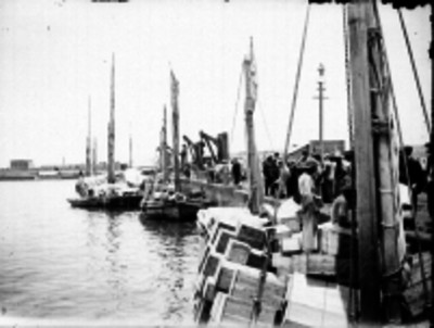 Personas realizando trabajos de carga y descarga en el muelle del Puerto de Veracruz
