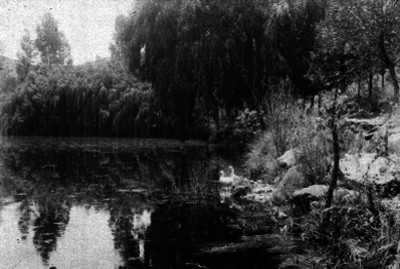 Lago, panorámica