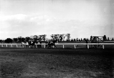 Jockeys durante una comeptencia