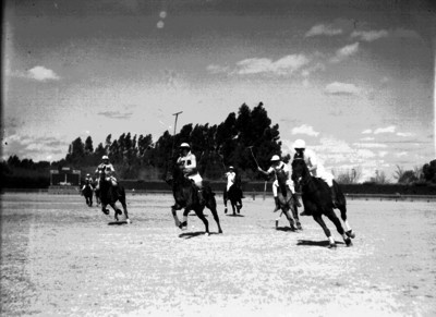 Jugadores de Polo en una competencia
