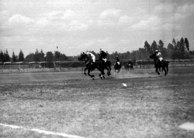 Jugadores de Polo se disputan la bola