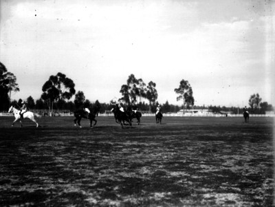 Jinetes durante una competencia de Polo