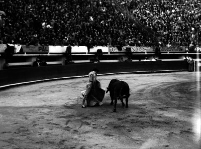 Fermín Espinosa realiza una verónica