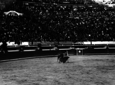 Fermín Espuinosa realiza natural en El Toreo
