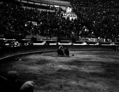 Fermín Espinosa realiza un natural en El Toreo