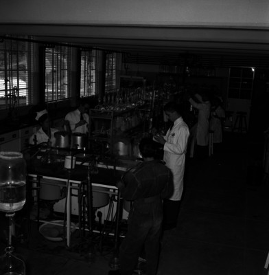 Médicos y enfermeras realizan experimentos en laboratorio