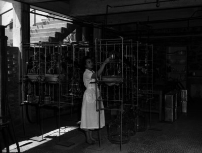 Mujer revisa el proceso de destilación en un laboratorio de Sintex