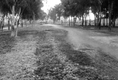 Basura y desperdicio de construcción en la calzada de La Ronda