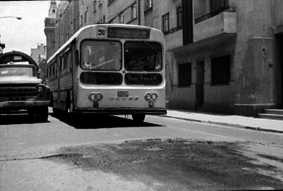 Bache en una calle