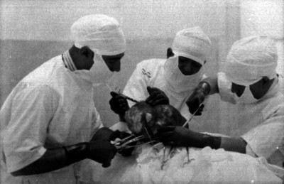 Médicos durante una operación
