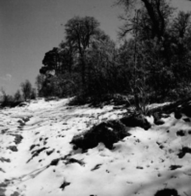 Cerro con nieve