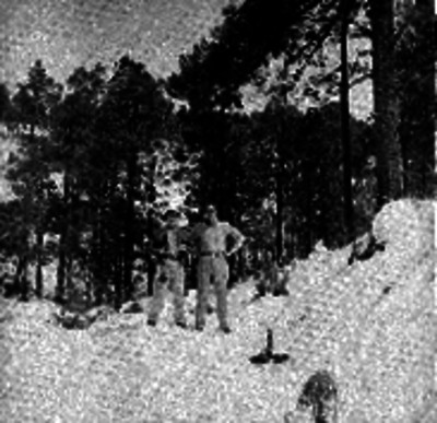 Alpinistas parados sobre la nieve, retrato