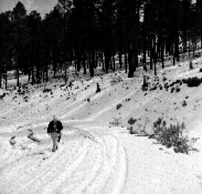 Alpinista caminando sobre la nieve