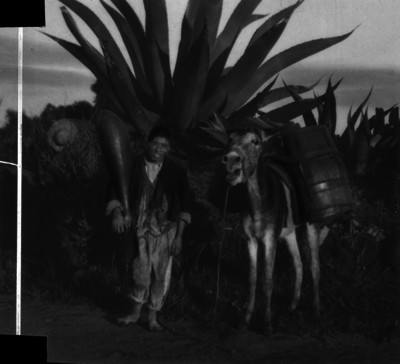 Tlachiquero con acocote y carga de pulque