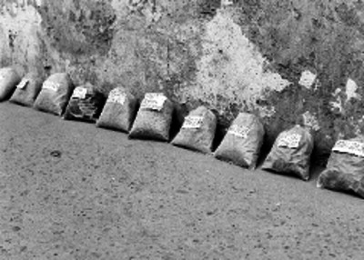 Bolsas con hierbas para curaciones, del puesto de un yerbero