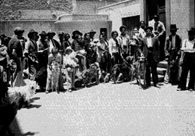 Vacunación de perros
