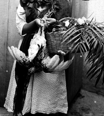 Mujer joven, muy probablemente sirvienta, con la canasta del "mandado" y una gallina, retrato