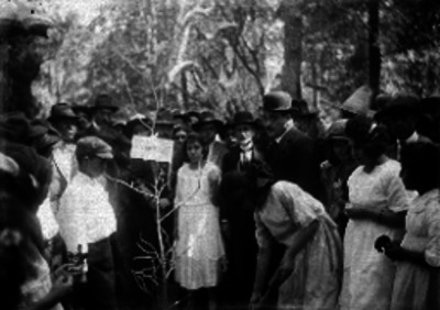 Mujeres de condición humilde durante el acto de sembrar un árbol en un lugar público, en presencia de individuos vestidos con elegancia