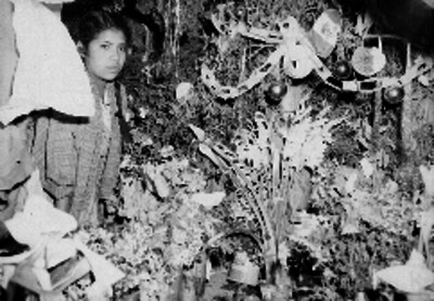 Mujer junto a plantas con adornos navideños